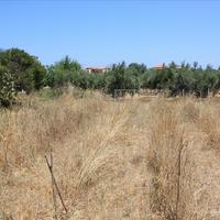 Land plot in Greece, Crete, Chania