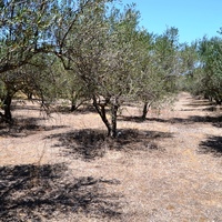 Земельный участок в Греции, Крит