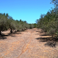 Земельный участок в Греции, Крит