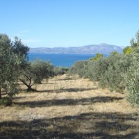 Земельный участок в Греции, Аттика, Афины