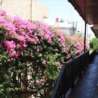 Villa in Greece, Crete, Chania, 160 sq.m.