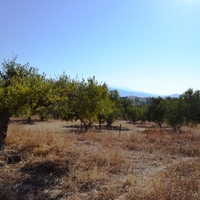 Land plot in Greece, Crete, Irakleion