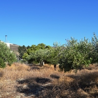 Land plot in Greece, Crete, Irakleion