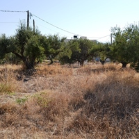 Land plot in Greece, Crete, Irakleion