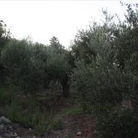 Land plot in Greece, Crete, Chania