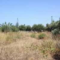 Land plot in Greece, Crete, Chania