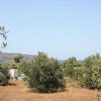 Land plot in Greece, Crete, Chania