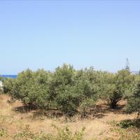 Land plot in Greece, Crete, Chania