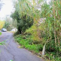 Land plot in Greece, Ionian Islands