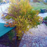 Other in Greece, Central Macedonia, Center, 170 sq.m.