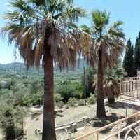 Hotel in Greece, Ionian Islands, 400 sq.m.