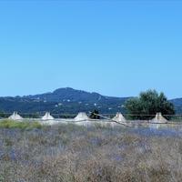 Other in Greece, Ionian Islands, 120 sq.m.