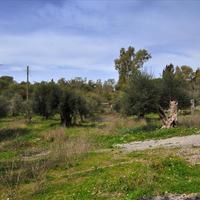 Land plot in Greece, Ionian Islands