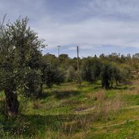 Land plot in Greece, Ionian Islands