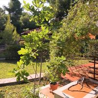 Townhouse in Greece, Central Macedonia, Center, 70 sq.m.