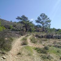 Земельный участок на Кипре, Лима