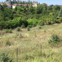 Земельный участок в Греции, Ионические острова