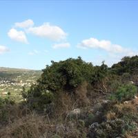 Земельный участок в Греции, Крит, Ханья