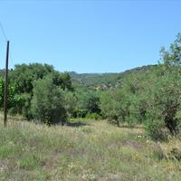 Land plot in Greece, Central Macedonia, Center, 1000 sq.m.