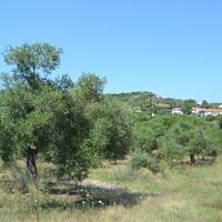 Land plot in Greece, Central Macedonia, Center, 1000 sq.m.