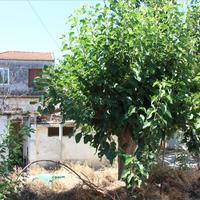 Other in Greece, Crete, Chania, 129 sq.m.