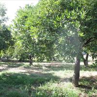 Other in Greece, Crete, Chania, 100 sq.m.