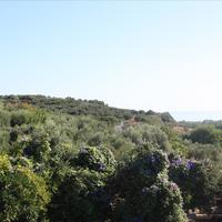 Other in Greece, Crete, Chania, 200 sq.m.