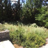 Villa in Greece, Ionian Islands, 550 sq.m.