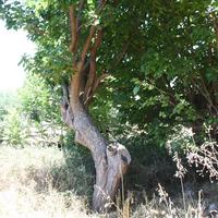 Other in Greece, Crete, Chania, 85 sq.m.