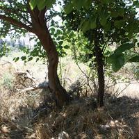 Other in Greece, Crete, Chania, 85 sq.m.