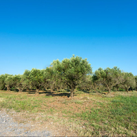 Другое в Греции, Центральная Македония, Центр, 199 кв.м.