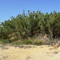 Land plot in Greece, Crete, Chania