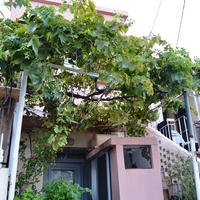 Другое в Греции, Крит, 85 кв.м.