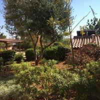 Вилла на Кипре, Лима, 133 кв.м.