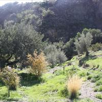 Villa in Greece, Crete, 230 sq.m.