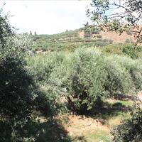 Land plot in Greece, Crete, Chania