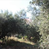 Land plot in Greece, Crete, Chania