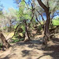 Земельный участок в Греции, Ионические острова