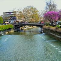 Земельный участок в Греции, Фессалия, Трикала