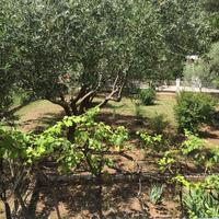 Other in Greece, Ionian Islands, 107 sq.m.