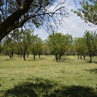 Другое в Греции, Центральная Македония, Центр, 270 кв.м.