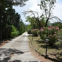 Другое в Греции, Центральная Македония, Центр, 270 кв.м.