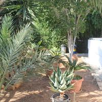 Land plot in Republic of Cyprus, Lima