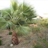 Land plot in Greece, Crete, Chania