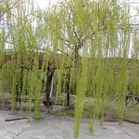 Другое в Греции, Центральная Македония, Хал, 159 кв.м.