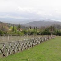 Другое в Греции, Центральная Македония, Хал, 159 кв.м.