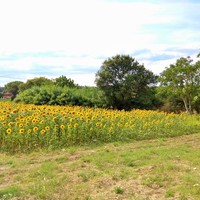 Land plot in Greece, Central Macedonia, Center
