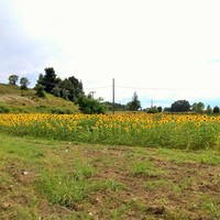 Land plot in Greece, Central Macedonia, Center