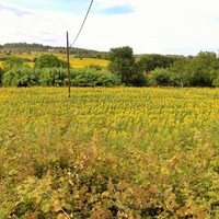 Land plot in Greece, Central Macedonia, Center