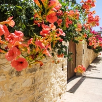 Hotel in Greece, Crete, Chania, 3411 sq.m.